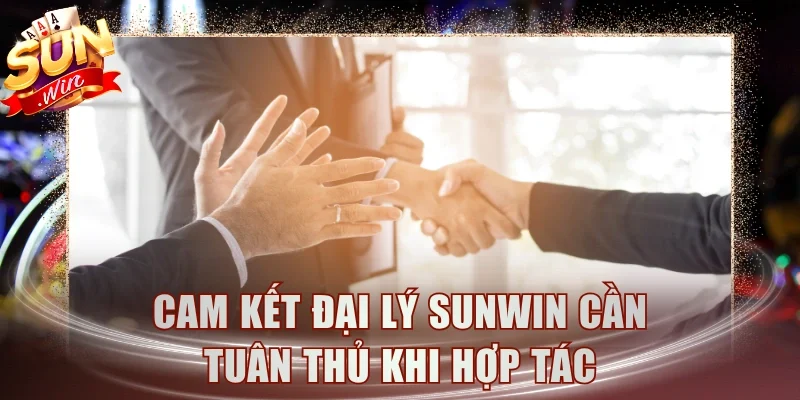 Cam kết đại lý Sunwin cần tuân thủ khi hợp tác