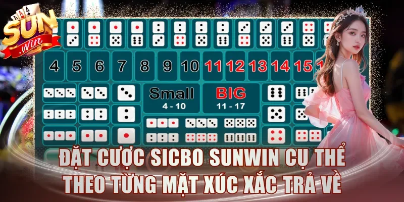 Đặt cược Sicbo Sunwin cụ thể theo từng mặt xúc xắc trả về