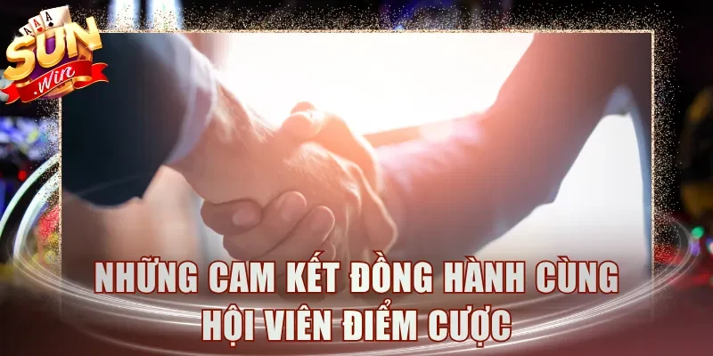 Những cam kết đồng hành cùng hội viên điểm cược