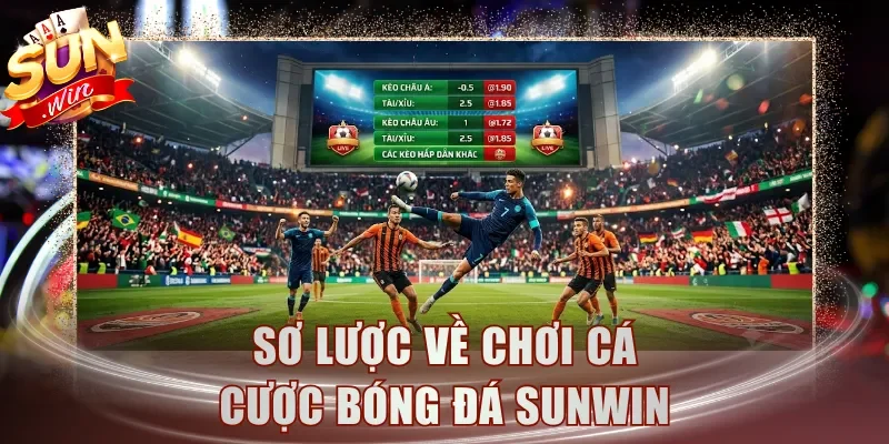Sơ lược về chơi cá cược bóng đá Sunwin